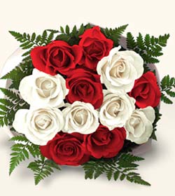 Ankara 14 �ubat �i�ek , �i�ek�i , �i�ek�ilik  10 adet kirmizi beyaz g�ller - anneler g�n� i�in ideal se�imdir -