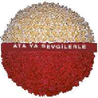arma anitkabire - mozele i�in  Ankara 14 �ubat �i�ek g�nderme sitemiz g�venlidir 