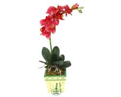 Yapay Phalonepsis Pembe   Ankara 14 �ubat g�venli kaliteli h�zl� �i�ek 