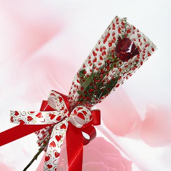 tek bir adet g�l seffafta   Ankara 14 �ubat �i�ek�i ma�azas� 