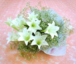 lilyum demeti 3 adet lilyum  Ankara 14 �ubat kaliteli taze ve ucuz �i�ekler 
