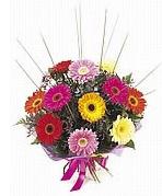 karisik gerbera �i�ekleri  Ankara 14 �ubat �i�ek yolla �i�ek�i 