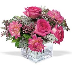  Ankara 14 �ubat cicekciler , cicek siparisi  cam i�erisinde 5 g�l 7 gerbera �i�egi