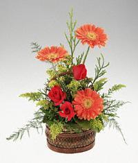  Ankara 14 �ubat cicekciler , cicek siparisi  sepet i�erisinde 3 g�l ve 3 gerbera tanzimi