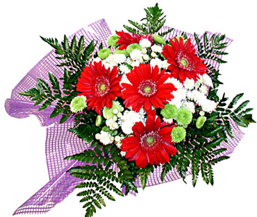 gerbera ve krizantem demeti  Ankara 14 �ubat �i�ek�i ma�azas� 