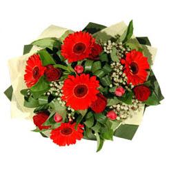  Ankara 14 �ubat ucuz �i�ek g�nder   5 adet kirmizi g�l 5 adet gerbera demeti