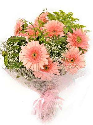  Ankara 14 �ubat sevgililer g�n� �i�ek sat���  11 adet gerbera �i�egi buketi