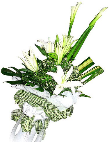  Ankara 14 �ubat g�venli kaliteli h�zl� �i�ek  3 dal kazablanka �i�egi ve yesillikler