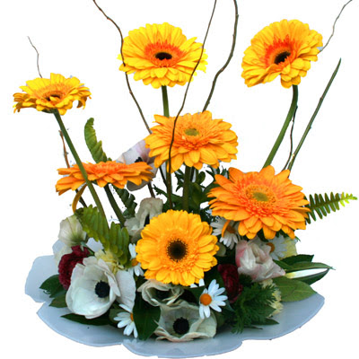 camda gerbera ve mis kokulu kir �i�ekleri  Ankara 14 �ubat �i�ek�i telefonlar� 