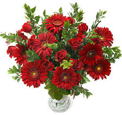 5 adet kirmizi g�l 5 adet gerbera aranjmani  Ankara 14 �ubat sevgilime hediye �i�ek yolla 