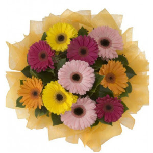  Ankara 14 �ubat �nternetten �i�ek sipari�i  11 adet kar���k gerbera �i�e�i buketi