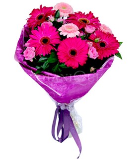  Ankara 14 �ubat �i�ek sipari�i sitesi  kar���k gerbera �i�e�i buketi