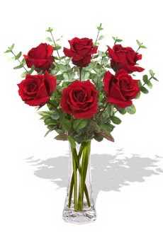  Ankara 14 �ubat �i�ek�i ma�azas�  6 k�rm�z� g�l vazosu