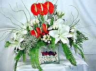  Ankara 14 �ubat �i�ek ma�azas� , �i�ek�i adresleri  Anthurim Kazablanka  g�l