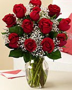 Sevgilime hediye 9 adet 1.ci kalite g�l  Ankara 14 �ubat anneler g�n� �i�ek yolla 