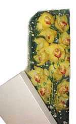  Ankara 14 �ubat �i�ek g�nderme  Kutu i�erisine dal cymbidium orkide
