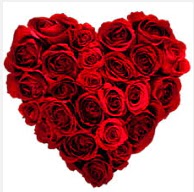  Ankara 14 �ubat uluslararas� �i�ek g�nderme  19 adet k�rm�z� g�lden kalp tanzimi