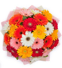 15 adet renkli gerbera buketi  Ankara 14 �ubat yurti�i ve yurtd��� �i�ek sipari�i 