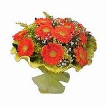  Ankara 14 �ubat �i�ek yolla �i�ek�i  11 adet se�me gerbera �i�egi