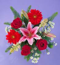  Ankara 14 �ubat ucuz �i�ek g�nder  Gerbera g�l ve lilyum buketi