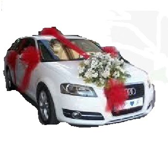  Ankara 14 �ubat sevgilime hediye �i�ek yolla  Gelin arabas� s�nnet arabas� s�sleme