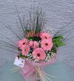  Ankara 14 �ubat sevgilime hediye �i�ek yolla  Pembe gerbera mevsim �i�ekleri
