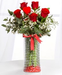 Cam vazoda 5 adet k�rm�z� g�l kalp �ubuk  Ankara 14 �ubat ucuz �i�ek g�nder 