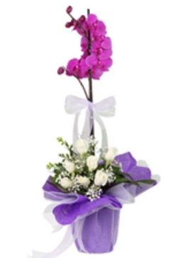 1 dal mor orkide ve 11 adet beyaz g�l  Ankara 14 �ubat 14 �ubat sevgililer g�n� �i�ek 