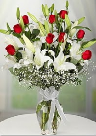 9 adet k�rm�z� g�l 3 dal kazablanka  Ankara 14 �ubat �i�ek yolla �i�ek�i 