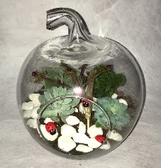 K���k terrarium elma 3 kakt�s  Ankara 14 �ubat �i�ek ma�azas� , �i�ek�i adresleri 