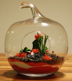 Elma Terrarium 3 kakt�s orta boy  Ankara 14 �ubat 14 �ubat sevgililer g�n� �i�ek 