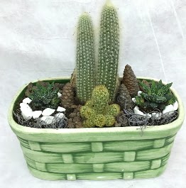 Seramik i�erisinde 5 kakt�sl� terrarium  Ankara 14 �ubat �i�ek g�nderme sitemiz g�venlidir 
