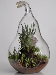 Armut cam k���k boy terrarium  Ankara 14 �ubat �i�ek servisi , �i�ek�i adresleri 