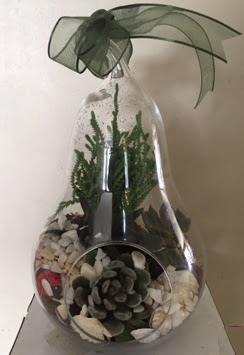 Orta boy armut terrarium 3 kakt�s  Ankara 14 �ubat g�venli kaliteli h�zl� �i�ek 