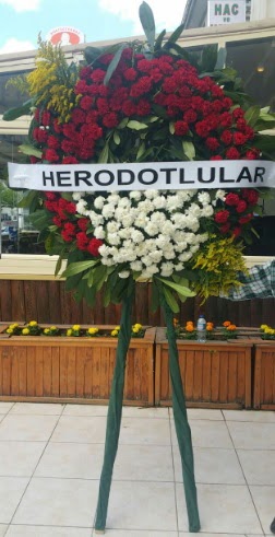 Cenaze elengi cenazeye iek modeli  Ankara 14 ubat sevgililer gn iek sat 