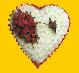  Ankara 14 �ubat �i�ek yolla , �i�ek g�nder , �i�ek�i   1.20m x 1.20m  Gerbera G�ller