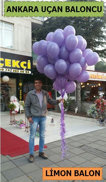 Ankara 50 adet istenilen renkte u�an balon  Ankara 14 �ubat ucuz �i�ek g�nder 