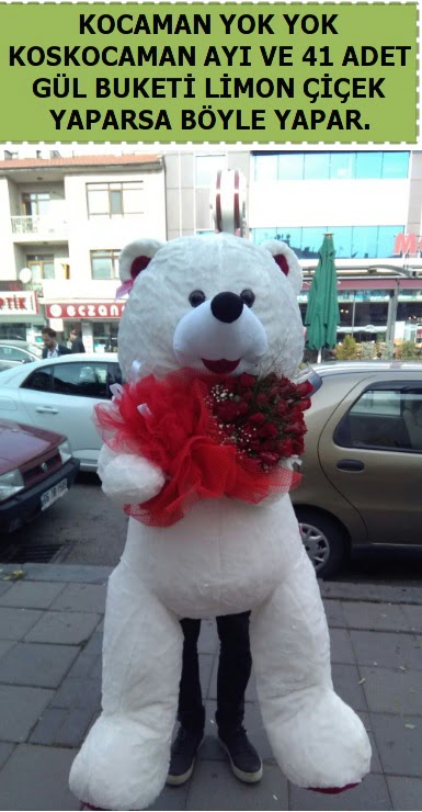 Koskocaman beyaz ay� ve 25 adet g�l  Ankara 14 �ubat �i�ek sipari�i sitesi 