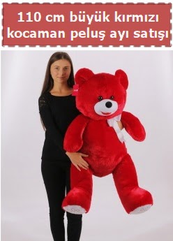 110 cm b�y�k k�rm�z� kocaman pelu� ay�  Ankara 14 �ubat �i�ek g�nderme 