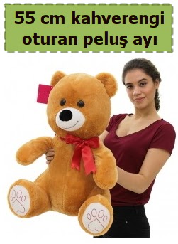 55 cm orta boy oturan kahverengi pelu� ay�  Ankara 14 �ubat �i�ek�i telefonlar� 