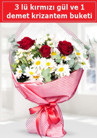 3 adet k�rm�z� g�l ve krizantem buketi  Ankara 14 �ubat �i�ek g�nderme sitemiz g�venlidir 