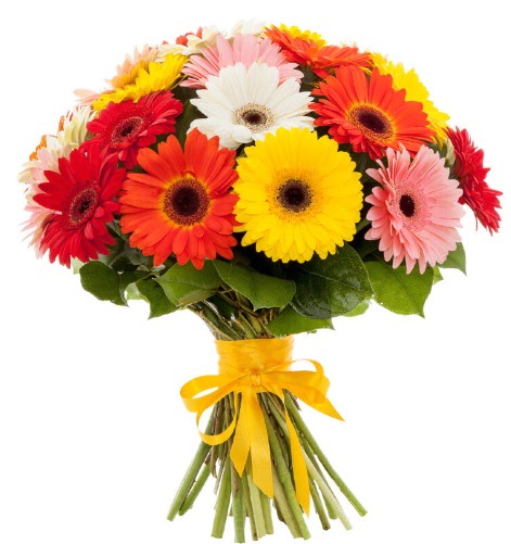 Gerbera demeti buketi  Ankara 14 �ubat sevgililer g�n� �i�ek sat��� 