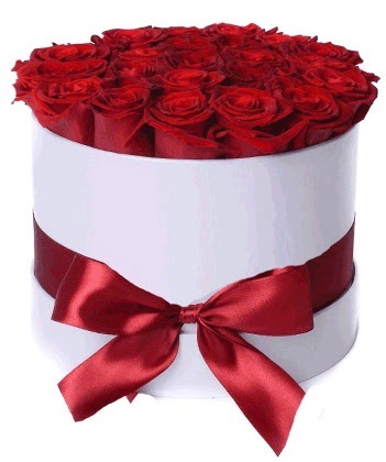 33 adet k�rm�z� g�l �zel kutuda k�z isteme   Ankara 14 �ubat �i�ek�iler 