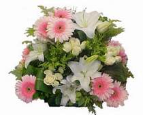  Ankara 14 �ubat kaliteli taze ve ucuz �i�ekler  G�l kazablanka gerbera sepet �i�ek modeli