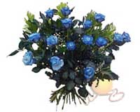  Ankara 14 �ubat �i�ek , �i�ek�i , �i�ek�ilik  11 adet mavi g�l �zel tanzim