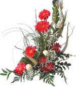  Ankara 14 �ubat kaliteli taze ve ucuz �i�ekler  Kirmizi gerbera �zel tanzim