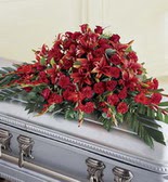 �elenk son yolculuk g�l lilyumdan  Ankara 14 �ubat �i�ek�i ma�azas� 