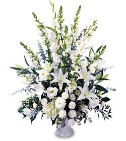  Ankara 14 �ubat online �i�ek g�nderme sipari�  saf temiz sevginin g�c� �i�ek modeli