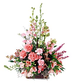  Ankara 14 �ubat ucuz �i�ek g�nder  mevsim �i�eklerinden �zel