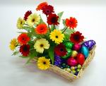  Ankara 14 �ubat �i�ek online �i�ek sipari�i  sepette gerbera �i�ekleri 
